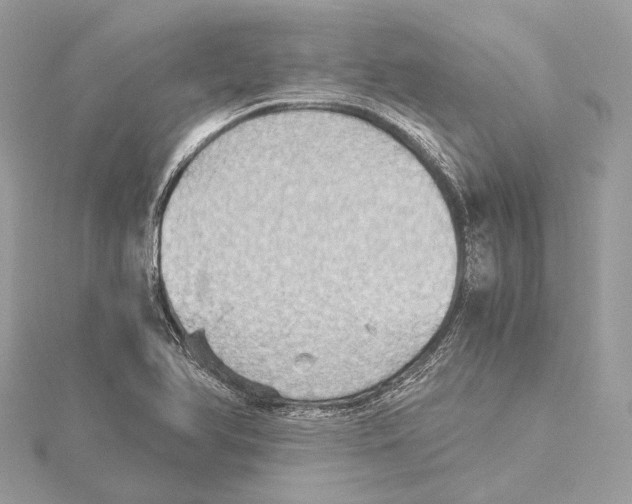 X0000115411366200912011217