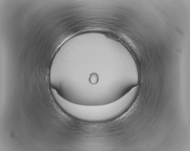 X0000115411369200912011217