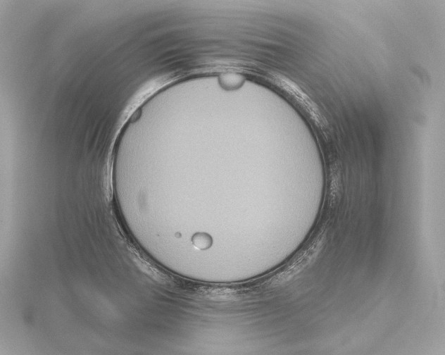 X0000115411370200912011217