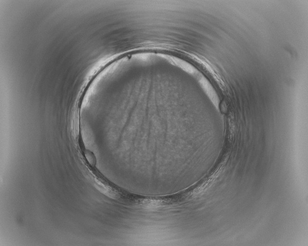 X0000115411371200912011217