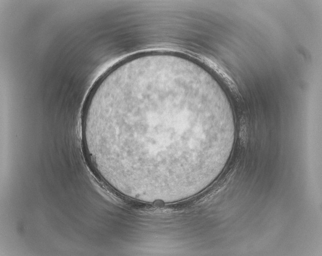 X0000115411372200912011217