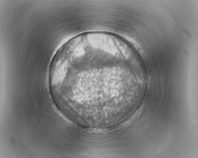 X0000115411374200912011217