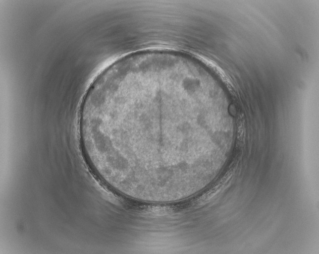 X0000115411375200912011217