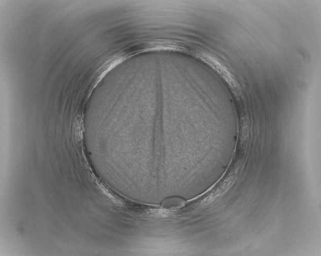 X0000115411377200912011217