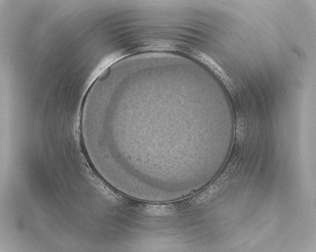 X0000115411378200912011217