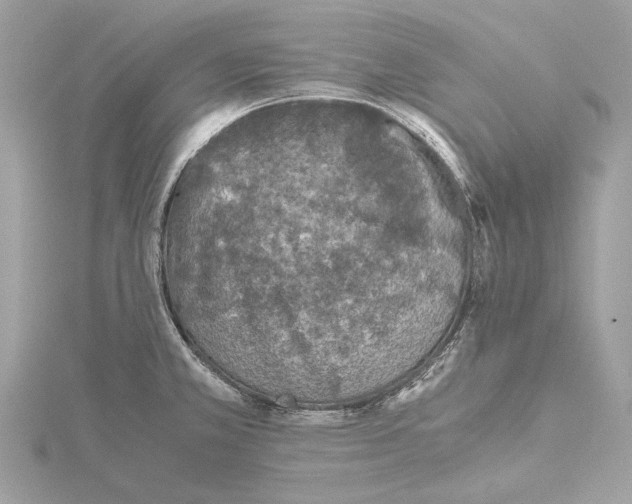 X0000115411381200912011217