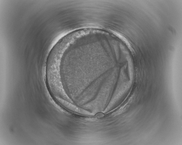 X0000115411383200912011217