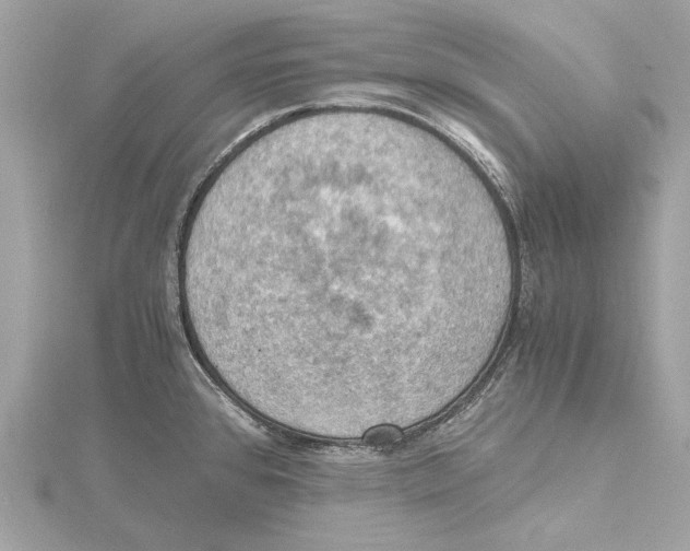 X0000115411384200912011217