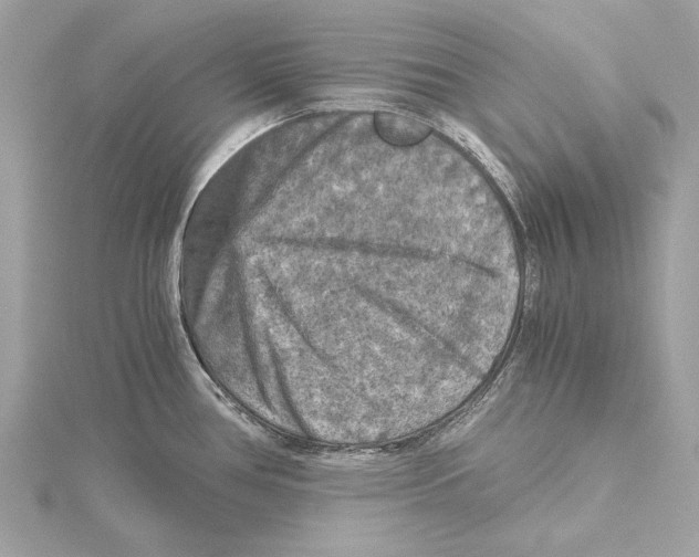 X0000115411386200912011216