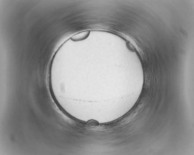 X0000115411387200912011216