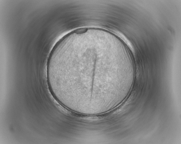 X0000115411388200912011216