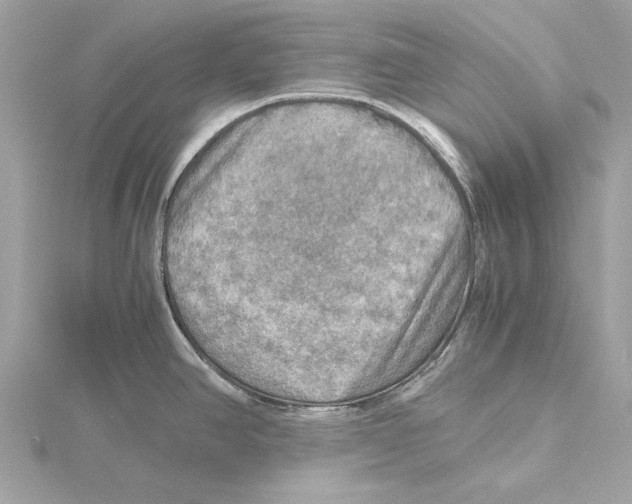 X0000115411390200912011216