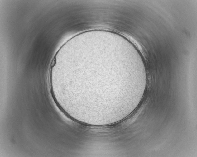 X0000115411391200912011216