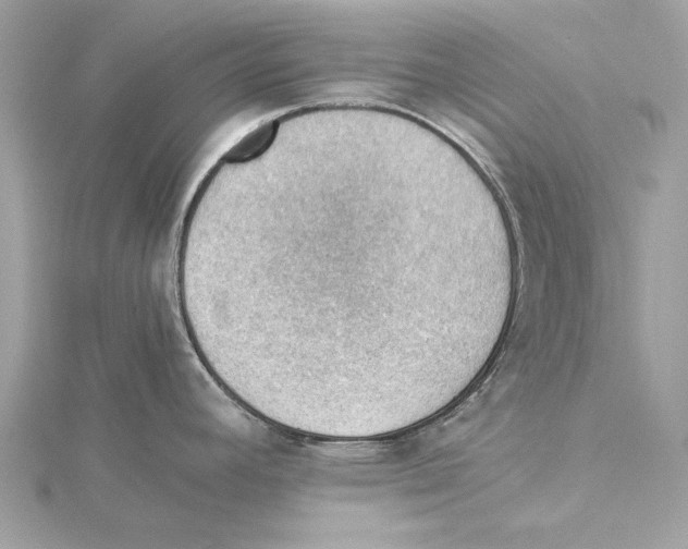 X0000115411392200912011216