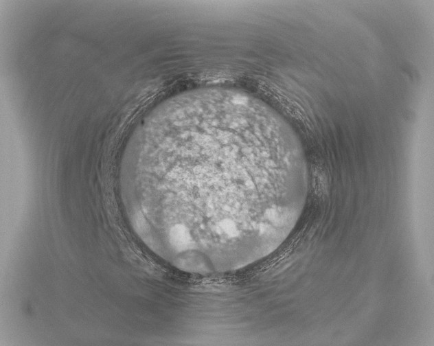 X0000115411393200912011216