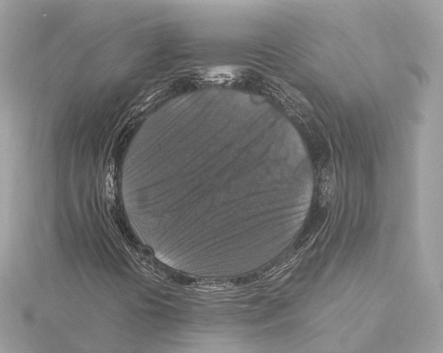 X0000115411394200912011216