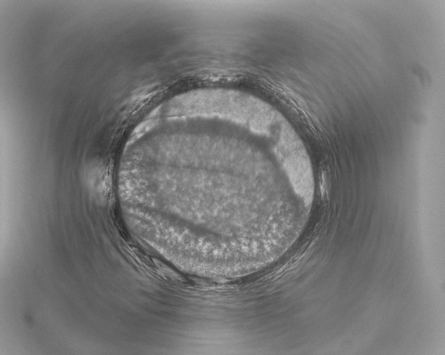 X0000115411396200912011216