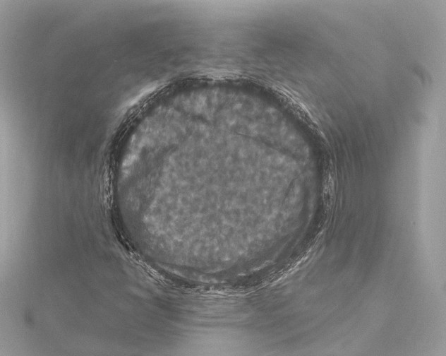 X0000115411398200912011216