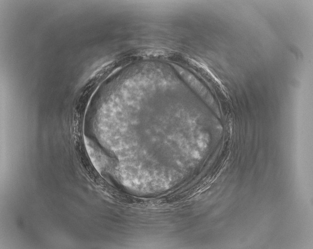 X0000115411399200912011216