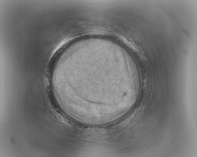 X0000115411400200912011216