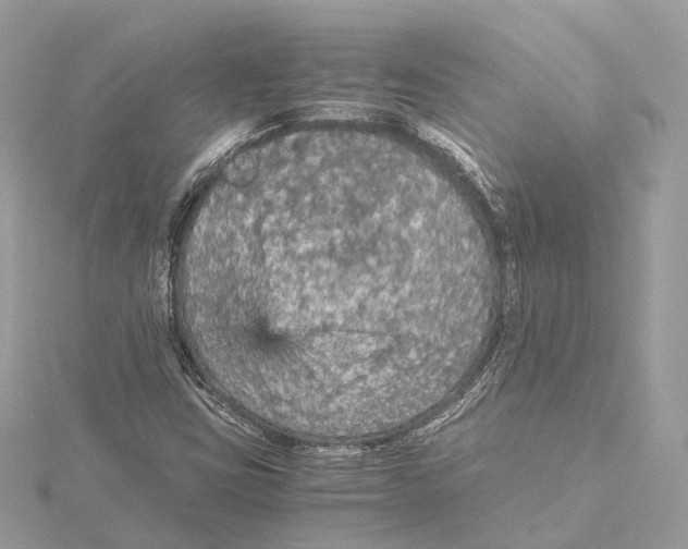 X0000115411403200912011216