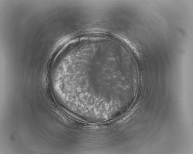 X0000115411405200912011216