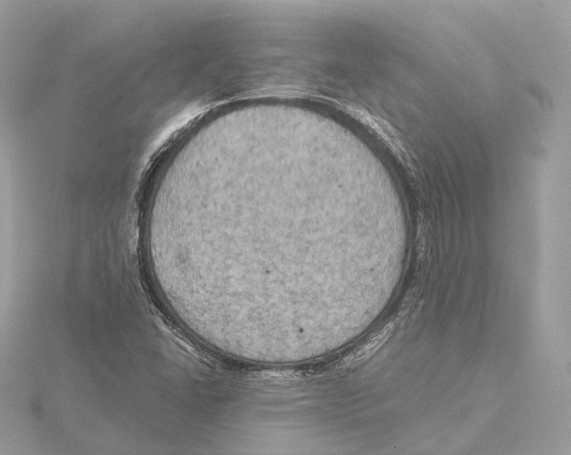 X0000115411406200912011216