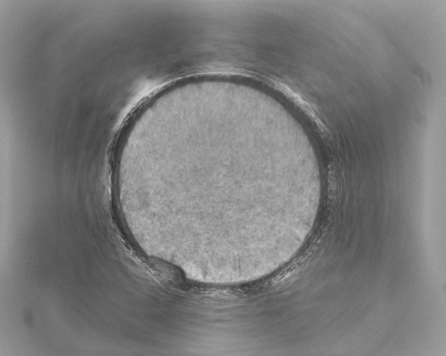 X0000115411408200912011216