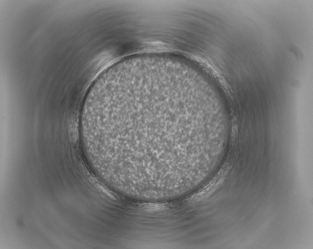 X0000115411409200912011216