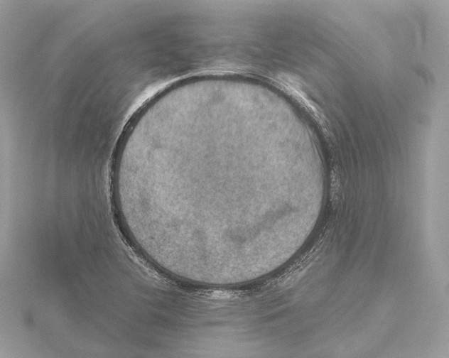 X0000115411412200912011216