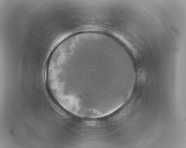 X0000115411413200912011216