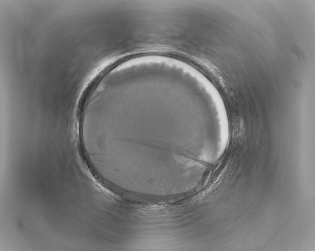 X0000115411414200912011216