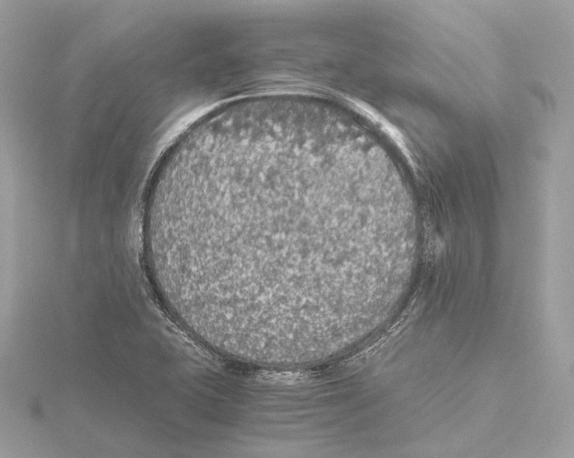 X0000115411415200912011216