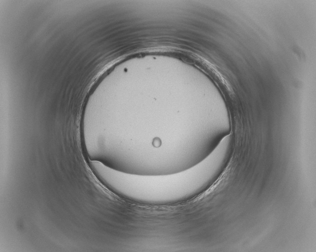 X0000115411417200912011216