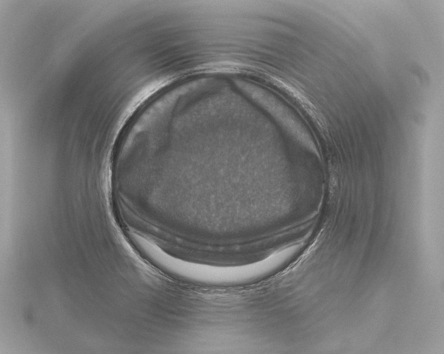 X0000115411418200912011216