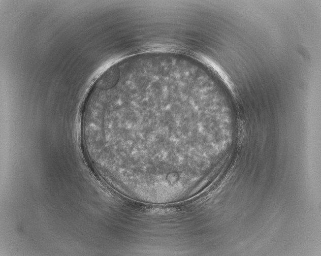 X0000115411419200912011216