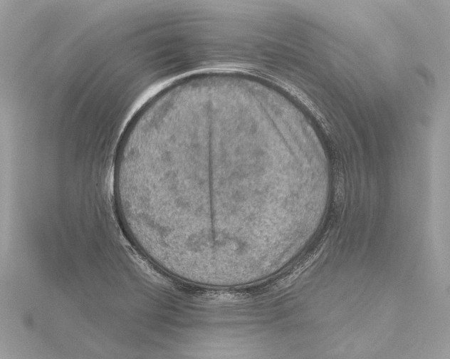 X0000115411420200912011216