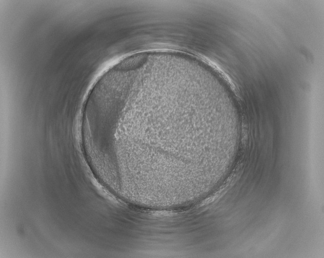 X0000115411421200912011216