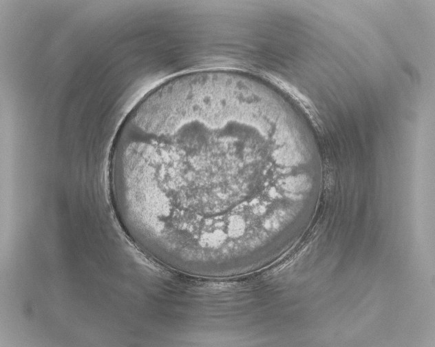 X0000115411423200912011216