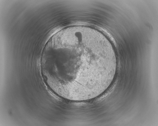 X0000115411425200912011216