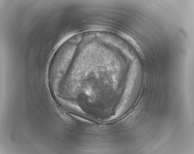 X0000115411427200912011216