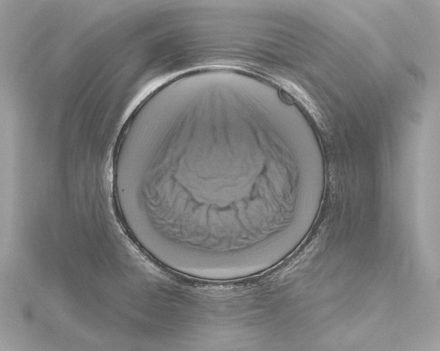 X0000115411428200912011216