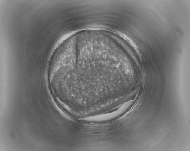 X0000115411429200912011216