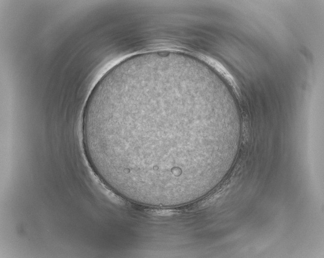 X0000115411431200912011216