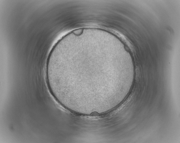 X0000115411432200912011216