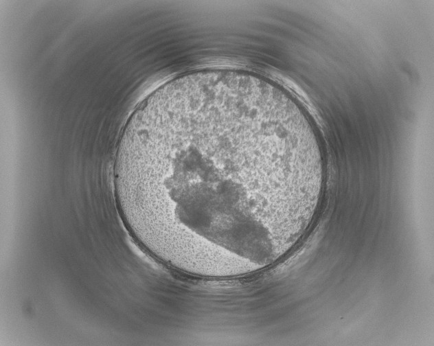 X0000115411433200912011216