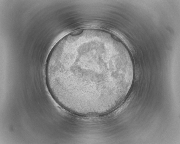 X0000115411434200912011216