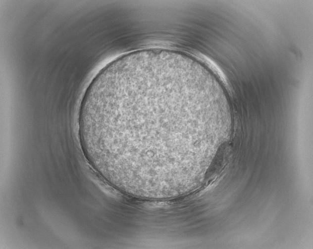 X0000115411435200912011216