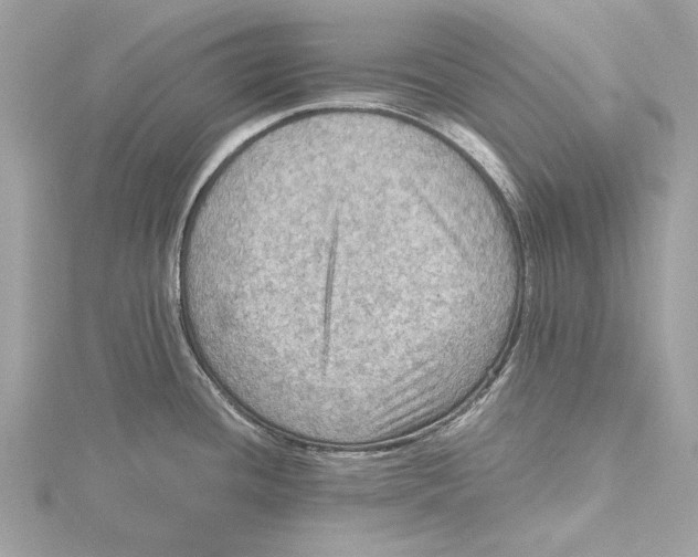 X0000115411436200912011216