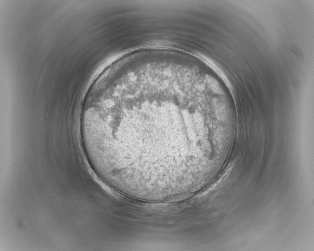 X0000115411437200912011216